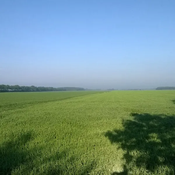 natuurkampeerterrein-tuincamping-entourage-vriescheloo-zetug