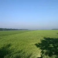 natuurkampeerterrein-tuincamping-entourage-vriescheloo-zetug