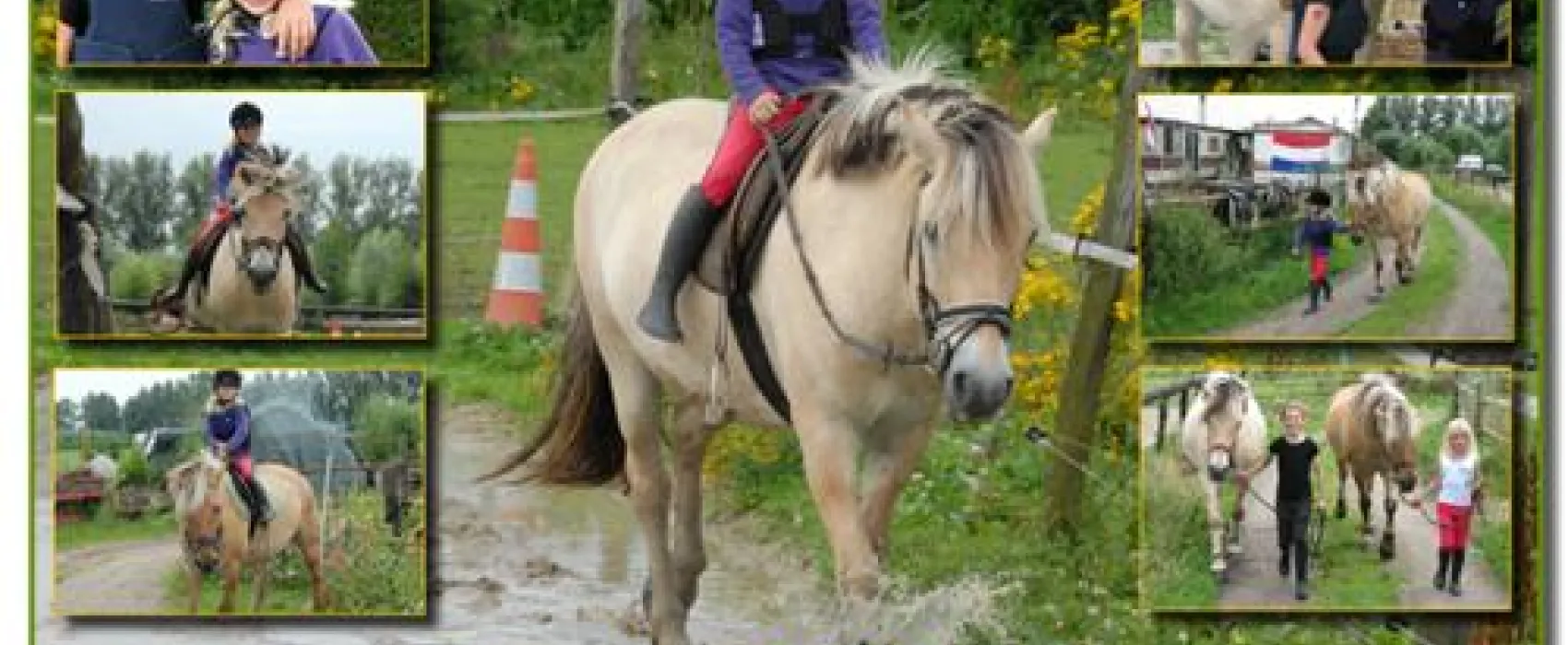 Camping Wildzicht