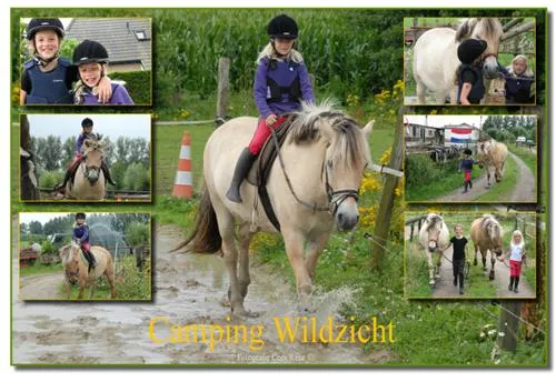 camping-wildzicht-leersum-t5zyq