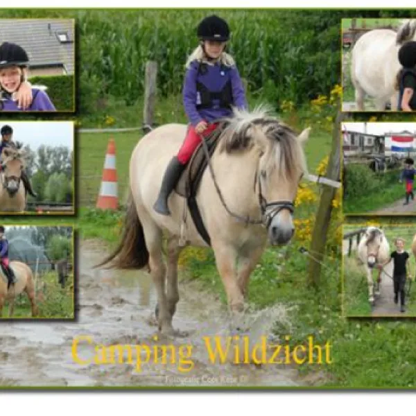 camping-wildzicht-leersum-t5zyq