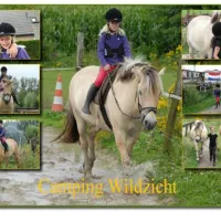 Camping Wildzicht