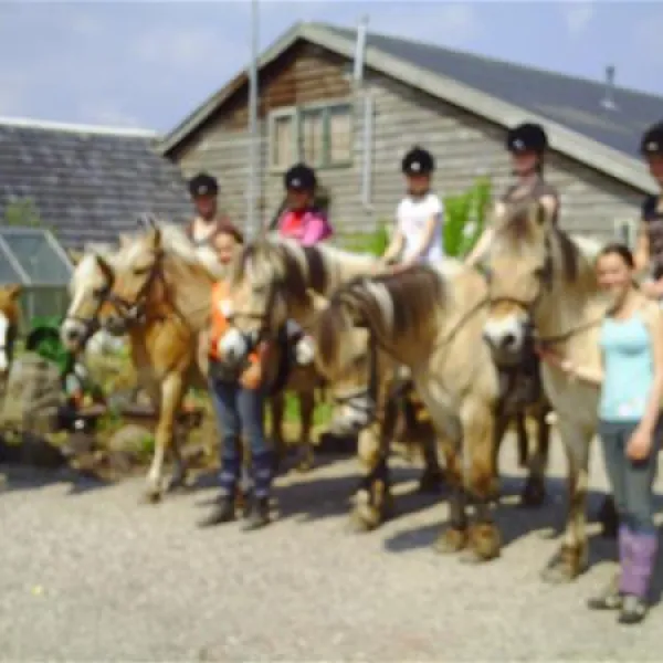 camping-wildzicht-leersum-x1bml