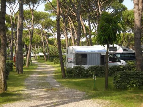 campeggio-waikiki-lido-di-jesolo-pnhcn