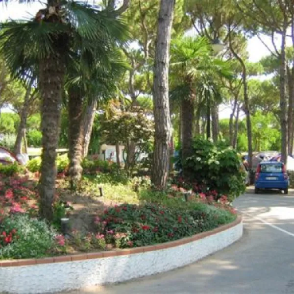 campeggio-waikiki-lido-di-jesolo-tgoil
