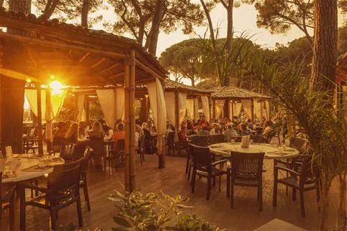 camping-village-fabulous-roma-p8im0