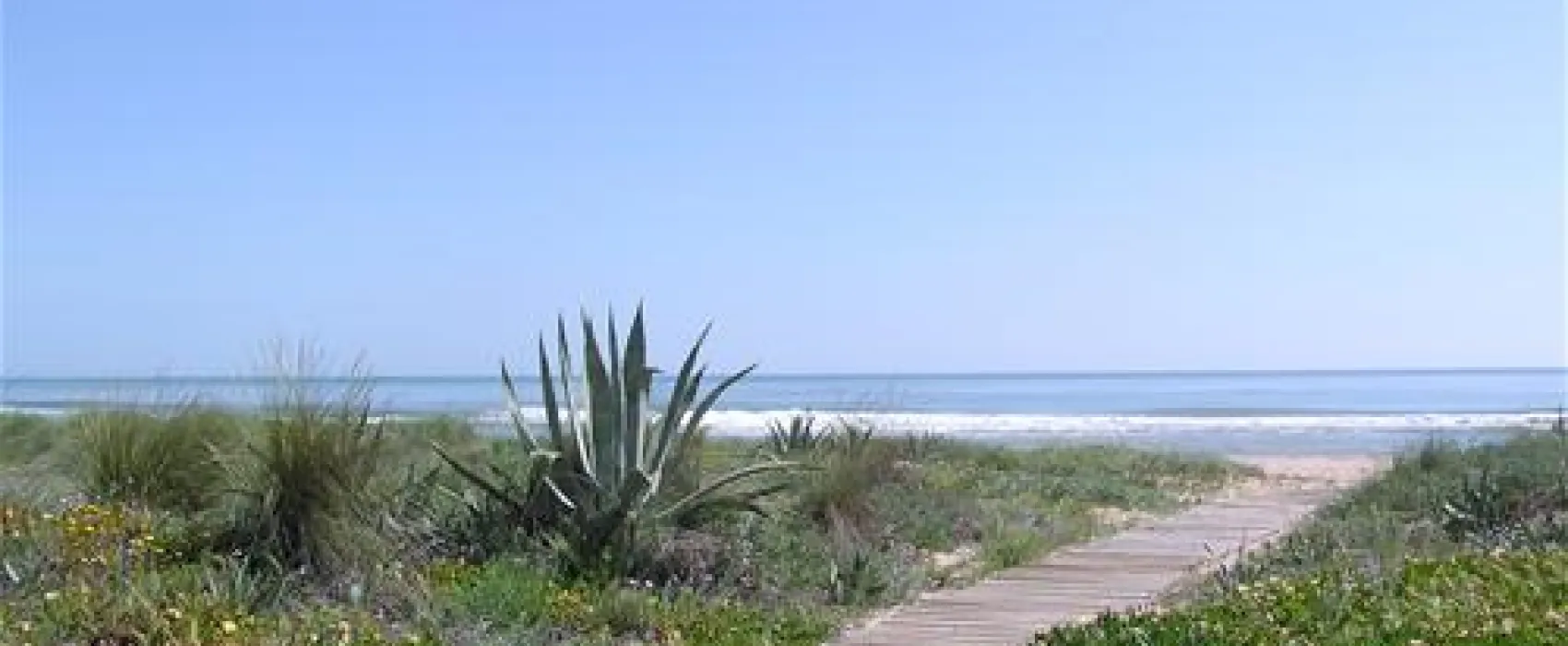 Camping San Vicente