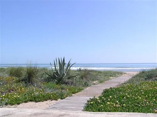 camping-san-vicente-xeraco-vdu9o