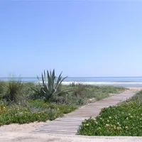 camping-san-vicente-xeraco-vdu9o