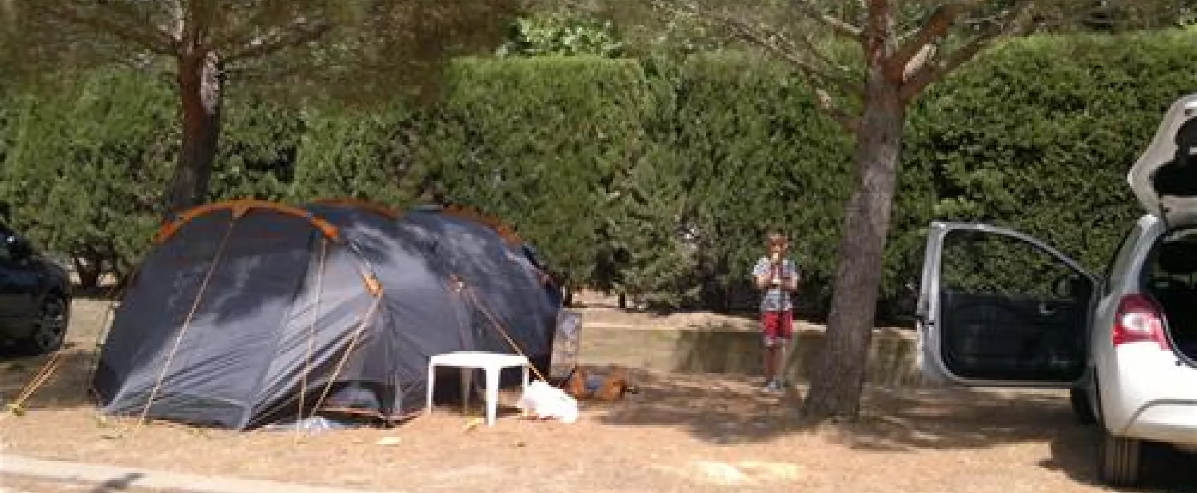 Camping Port De La Vall