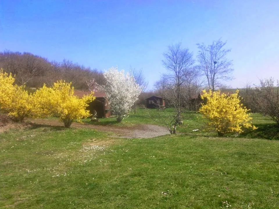 camping-moto-route-99--st-rmy-de-blot-snath