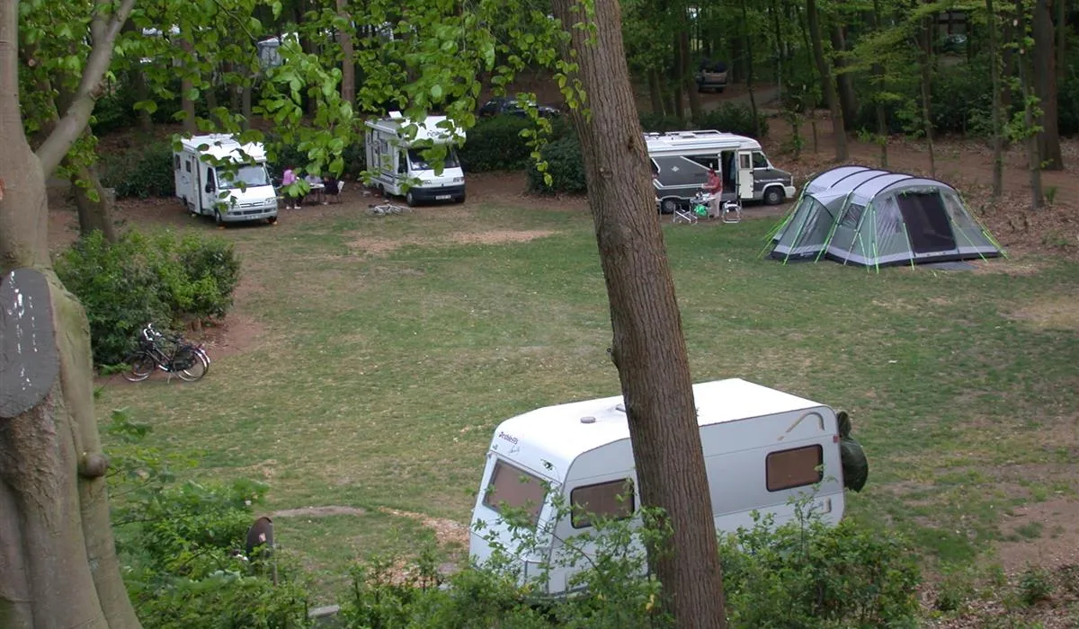camping-landgoed-de-wildert-bosschenhoofd-ev0hm