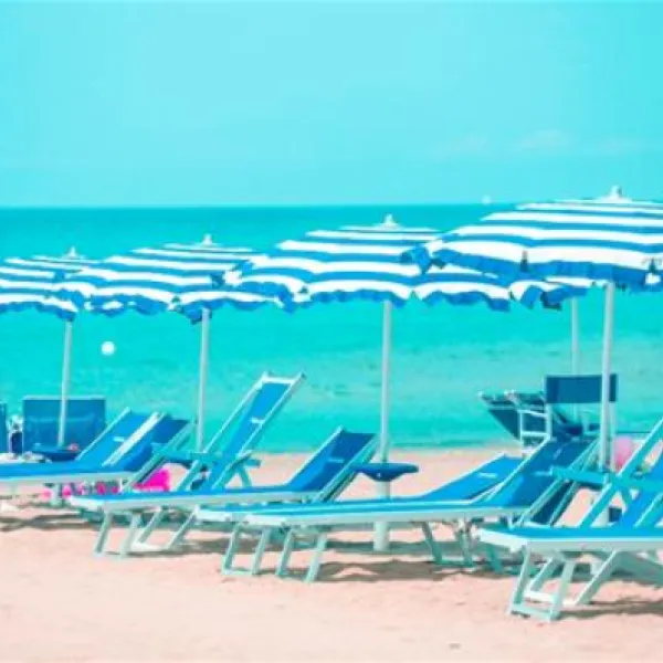 international-camping-etruria-marina-di-castagneto-afc19