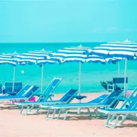 international-camping-etruria-marina-di-castagneto-afc19