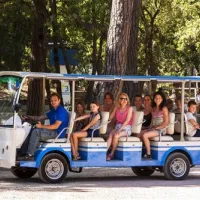 international-camping-etruria-marina-di-castagneto-arzmh