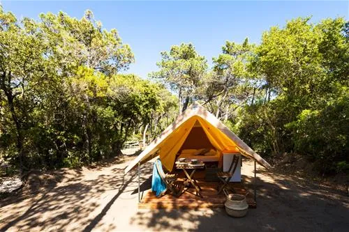 international-camping-etruria-marina-di-castagneto-ccziy