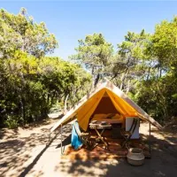 international-camping-etruria-marina-di-castagneto-ccziy