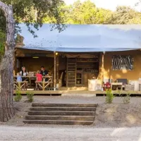 international-camping-etruria-marina-di-castagneto-n5aev