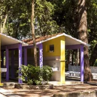 international-camping-etruria-marina-di-castagneto-rwtoh