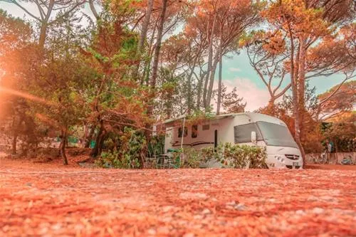 international-camping-etruria-marina-di-castagneto-twjlt