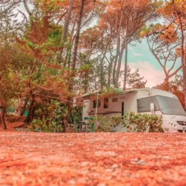 international-camping-etruria-marina-di-castagneto-twjlt