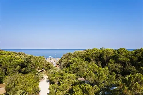 international-camping-etruria-marina-di-castagneto-wxi2w