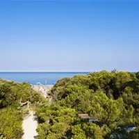 international-camping-etruria-marina-di-castagneto-wxi2w