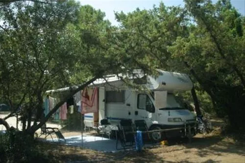 international-camping-etruria-marina-di-castagneto-wznyx