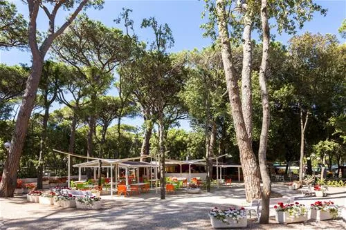 international-camping-etruria-marina-di-castagneto-xndjv