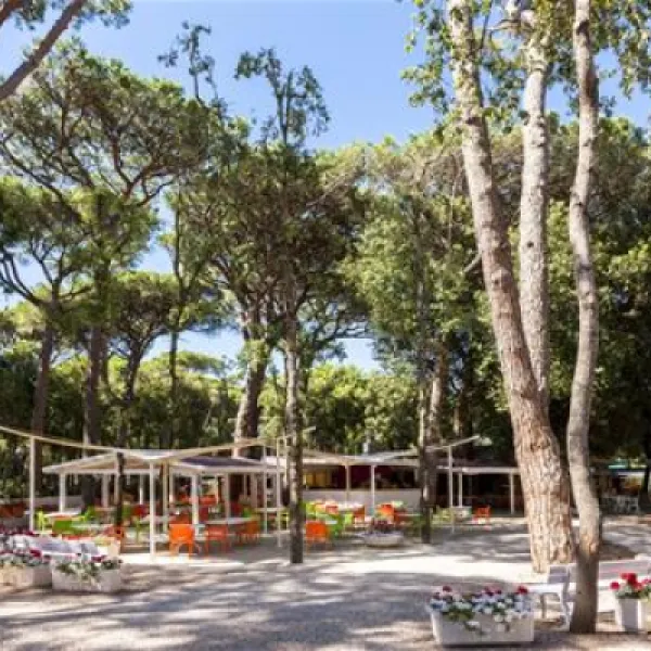 international-camping-etruria-marina-di-castagneto-xndjv