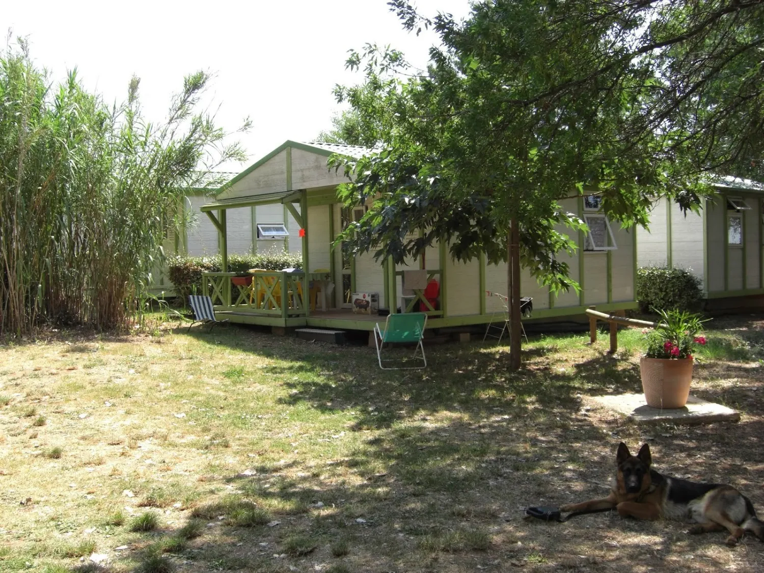 le-septimanien-saint-andr-de-sangonis-5v9lt