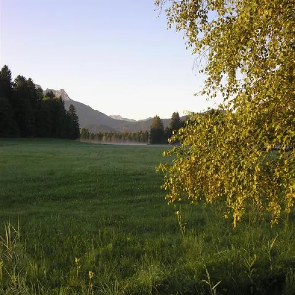 camping-hopfensee-fssen-hopfen-am-see-hcpbt