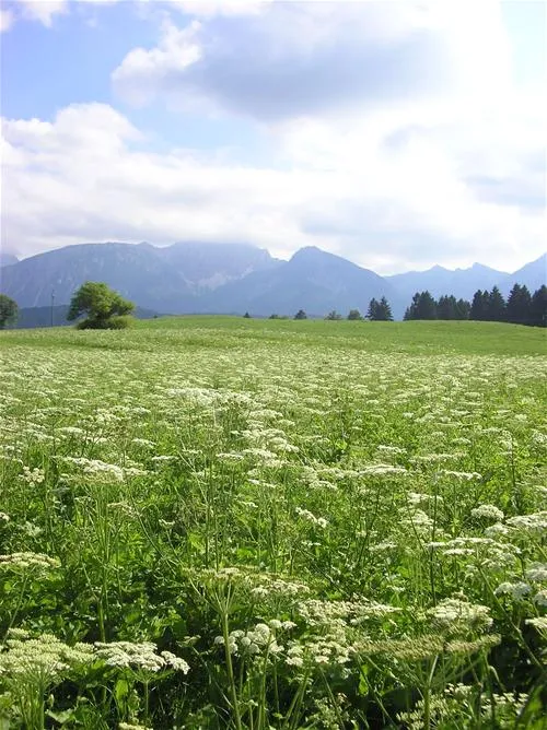 camping-hopfensee-fssen-hopfen-am-see-sghuj