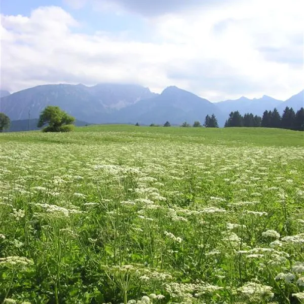 camping-hopfensee-fssen-hopfen-am-see-sghuj