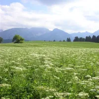 camping-hopfensee-fssen-hopfen-am-see-sghuj