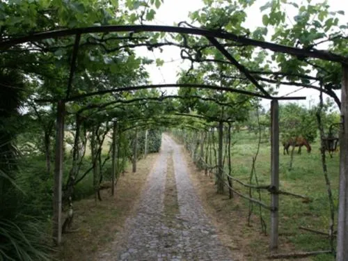 quinta-dos-agros-sande-c6u8q