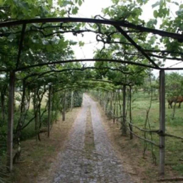 quinta-dos-agros-sande-c6u8q