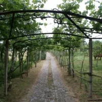 quinta-dos-agros-sande-c6u8q