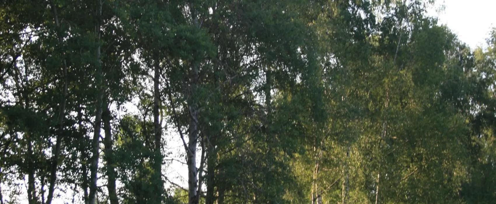 Camping Aichalehof