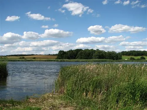 campingfreunde-mutzschenroda-ev-mutzschen-hgxys