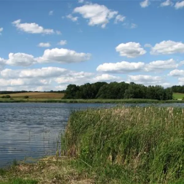 campingfreunde-mutzschenroda-ev-mutzschen-hgxys
