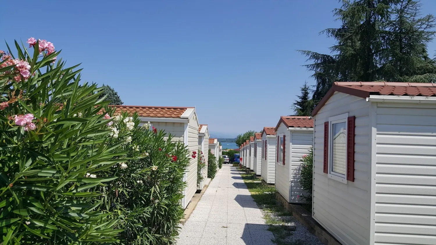 camping-bergamini-s-benedetto-kdi9x