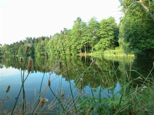 seecamping-weichselbrunn-bodenwhr-9lh3s
