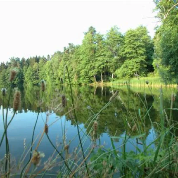seecamping-weichselbrunn-bodenwhr-9lh3s