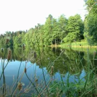 seecamping-weichselbrunn-bodenwhr-9lh3s