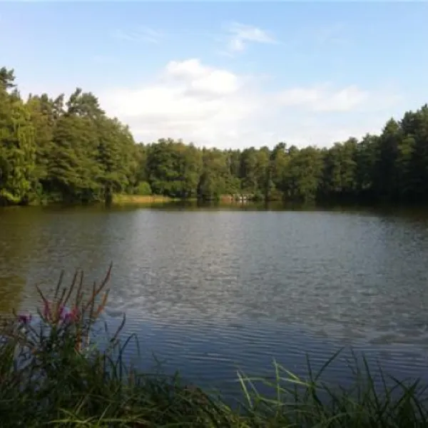 seecamping-weichselbrunn-bodenwhr-alp1x