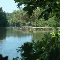 seecamping-weichselbrunn-bodenwhr-bi3me