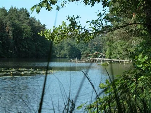seecamping-weichselbrunn-bodenwhr-dywgw