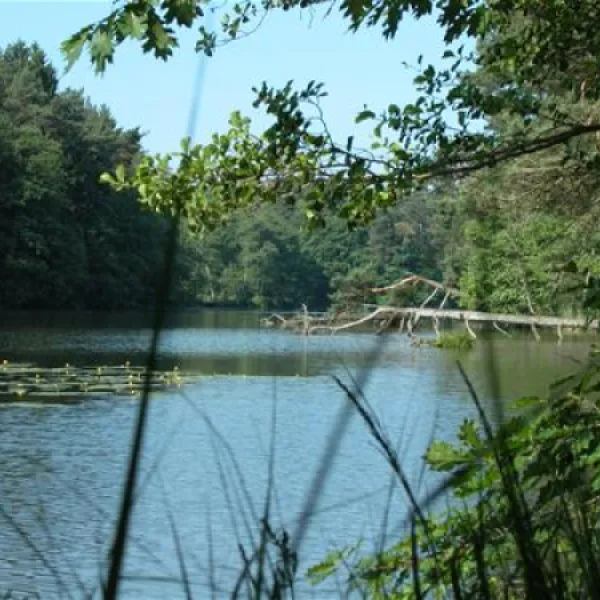 seecamping-weichselbrunn-bodenwhr-dywgw