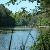 seecamping-weichselbrunn-bodenwhr-dywgw